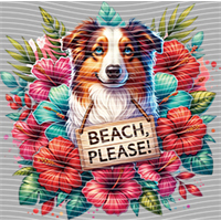 Animal Text Series-AT 240